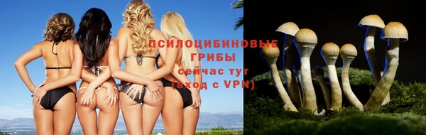 spice Вязники