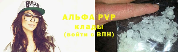 дживик Вязьма