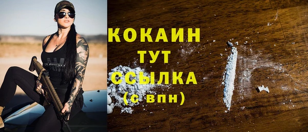 дживик Вязьма