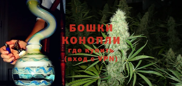 дживик Вязьма