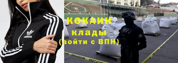 дживик Вязьма