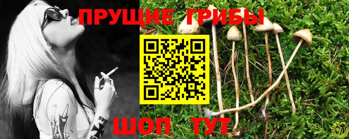 Псилоцибиновые грибы мухоморы Муром